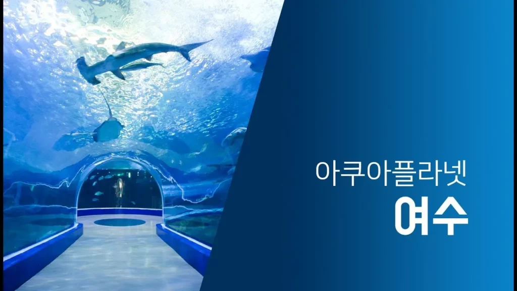 아쿠아플라넷 여수