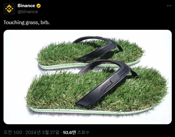 바이낸스 GRASS 코인 언급