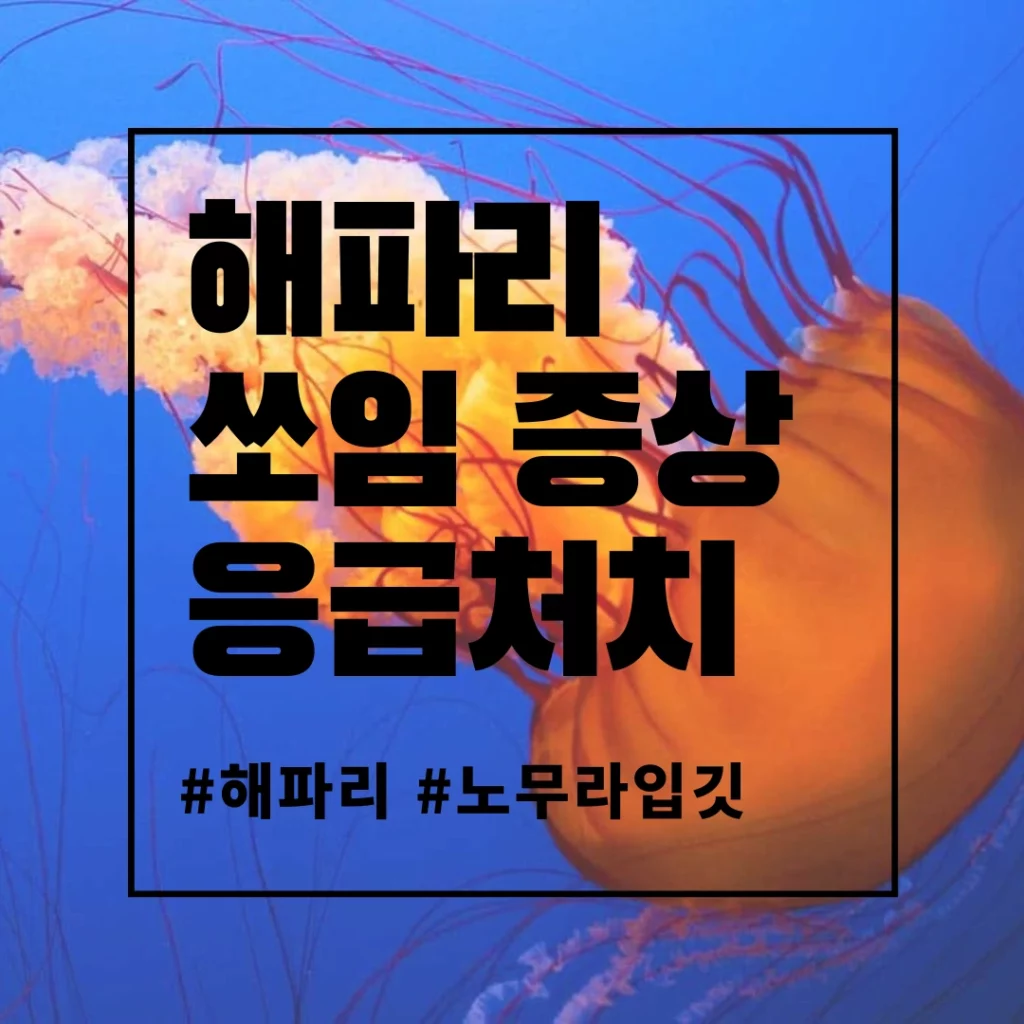 해파리 쏘임