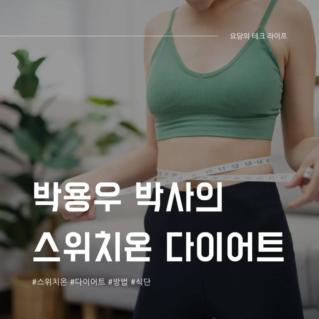 스위치온 다이어트