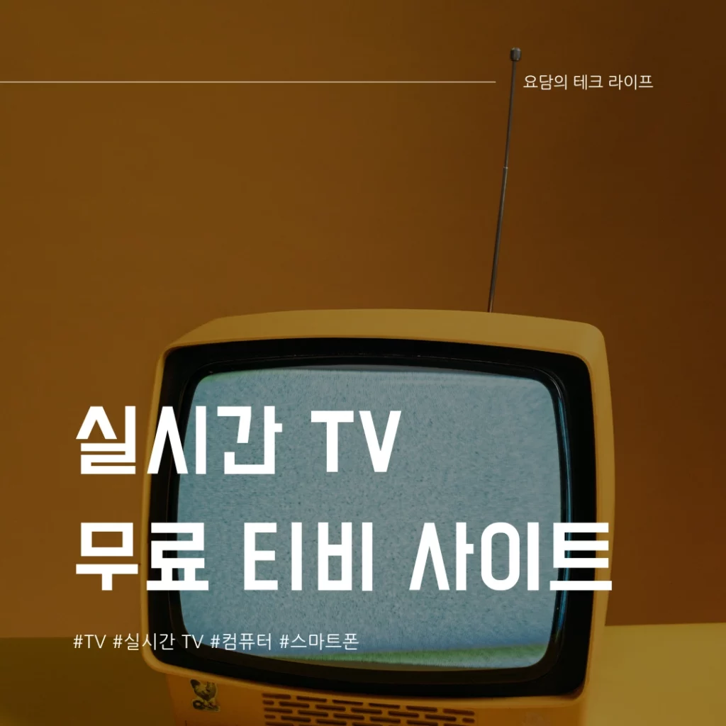 실시간 TV 보기