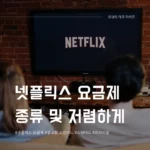 넷플릭스 요금제