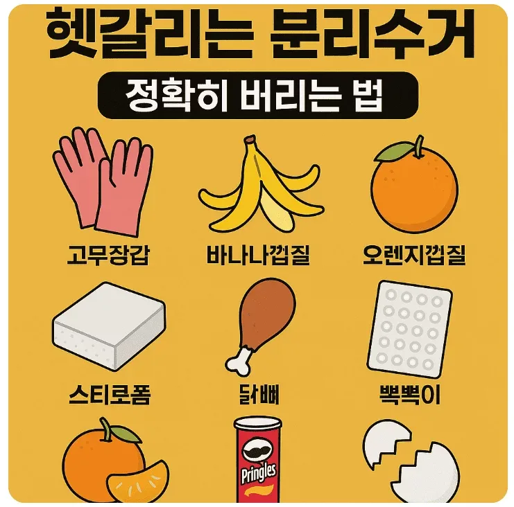 닭뼈 분리수거 방법 – 비슷한 폐기물과 헷갈리기 쉬운 포인트