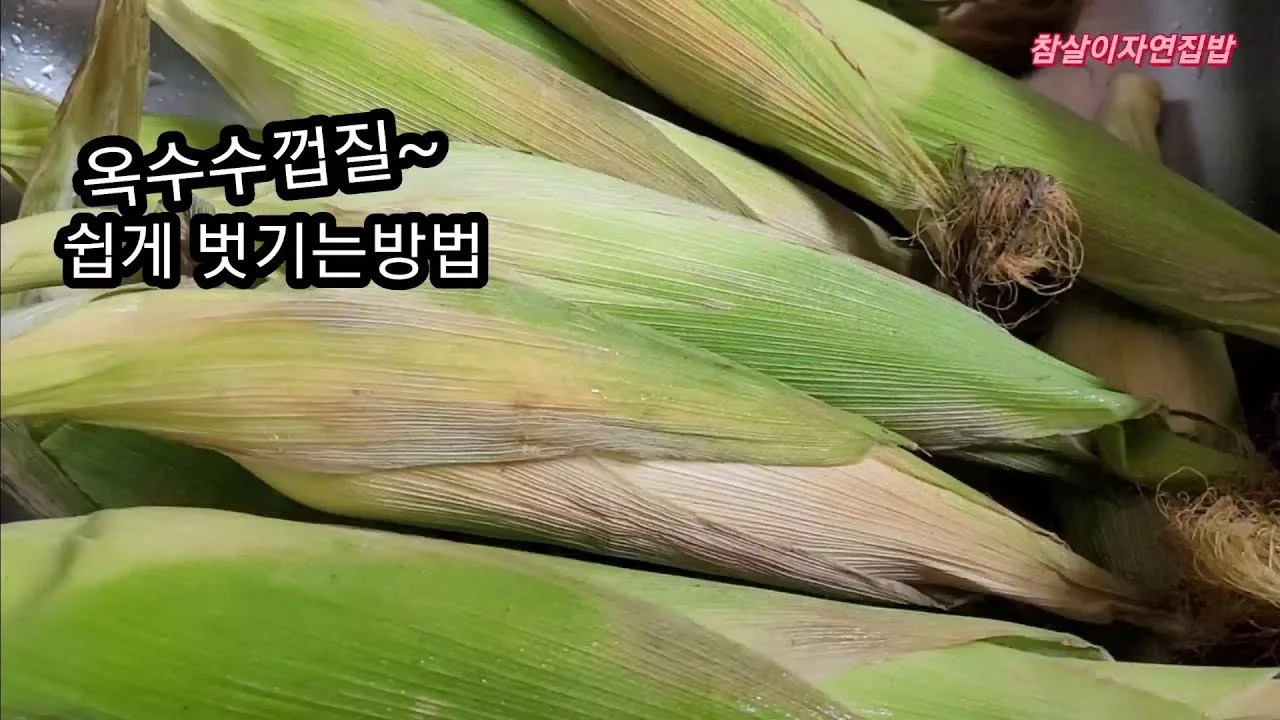 옥수수 껍질 분리수거 방법 – 옥수수 껍질 분리수거 인천 등 지자체별 확인법