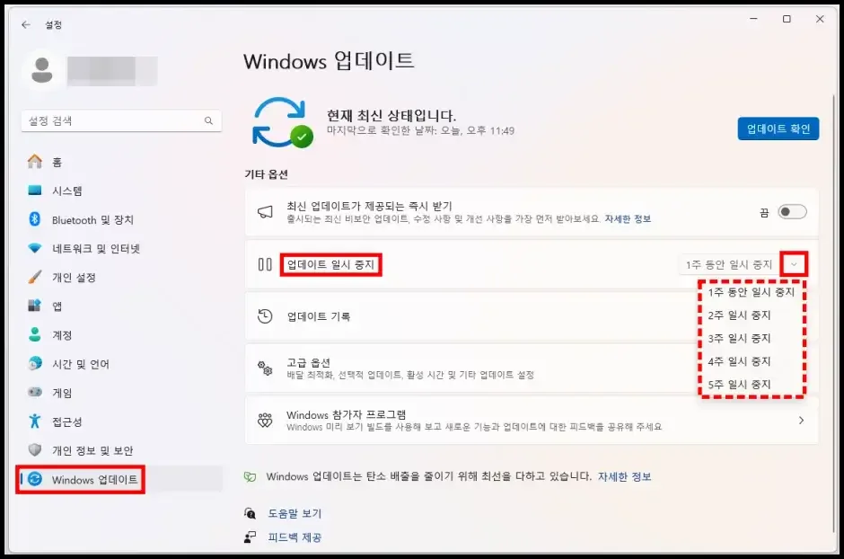 윈도우 11 시디키 가격 – 초보가 놓치기 쉬운 보안·백업·업데이트 설정